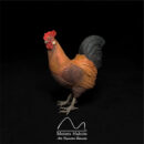 Gallo